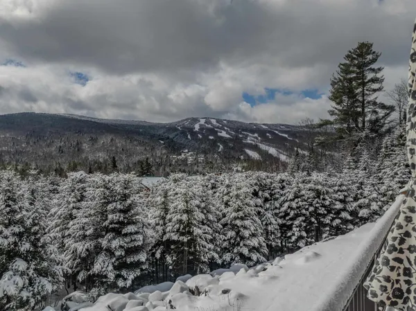 $779,000 | 35 Hartford Ln Extension, Unit 79, Carroll, NH 03595