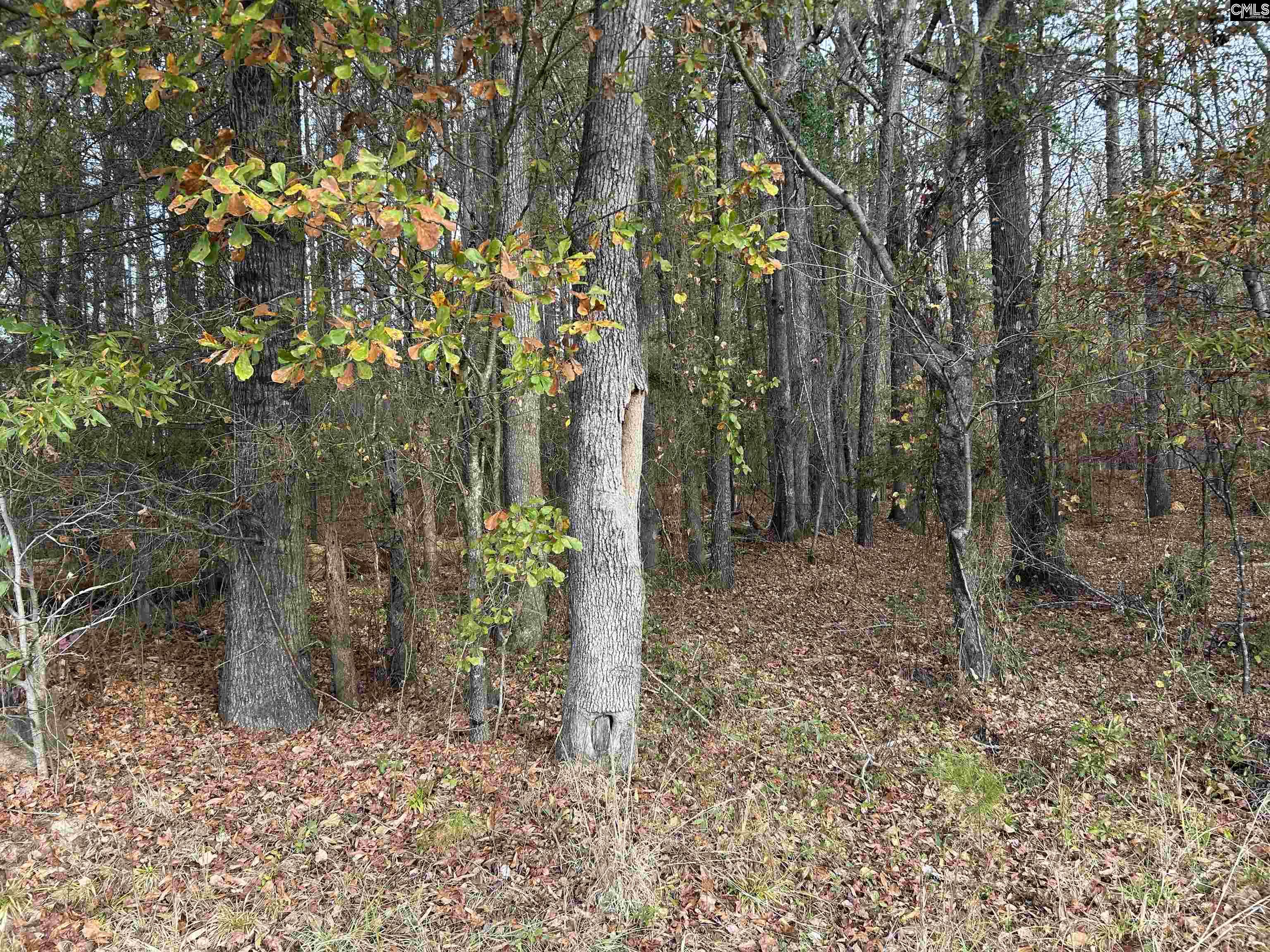 440 Paschal Road Elgin, SC 29045 - Photo 12 of 23