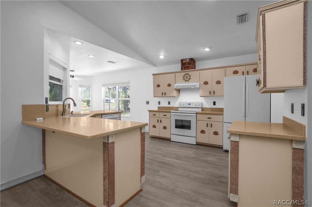 127 North Golf Harbor Path Inverness, FL 34450 - Photo 12 of 56