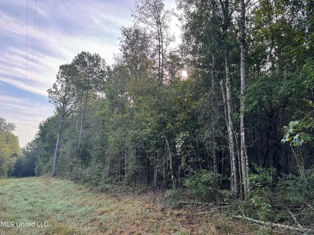 $42,500 | 741 Southeast Hughs Hill Lane, Brookhaven, MS 39601