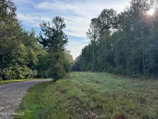 $42,500 | 741 Southeast Hughs Hill Lane, Brookhaven, MS 39601