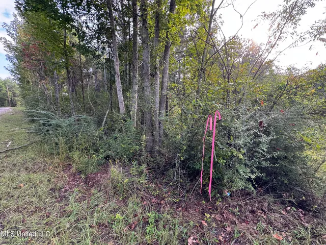 $42,500 | 741 Southeast Hughs Hill Lane, Brookhaven, MS 39601