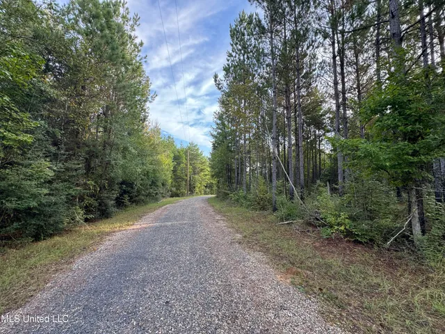 $42,500 | 741 Southeast Hughs Hill Lane, Brookhaven, MS 39601