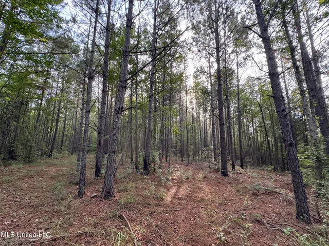 $42,500 | 741 Southeast Hughs Hill Lane, Brookhaven, MS 39601