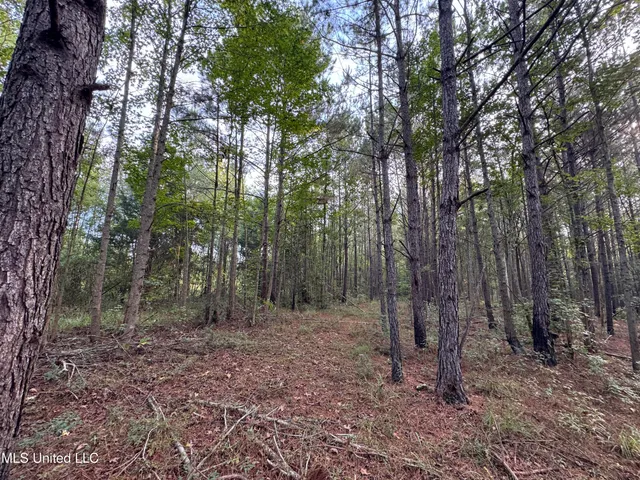 $42,500 | 741 Southeast Hughs Hill Lane, Brookhaven, MS 39601