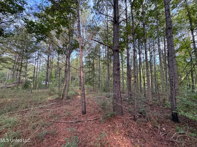 $42,500 | 741 Southeast Hughs Hill Lane, Brookhaven, MS 39601