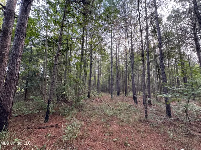 $42,500 | 741 Southeast Hughs Hill Lane, Brookhaven, MS 39601