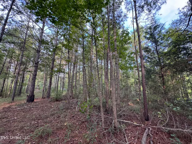 $42,500 | 741 Southeast Hughs Hill Lane, Brookhaven, MS 39601