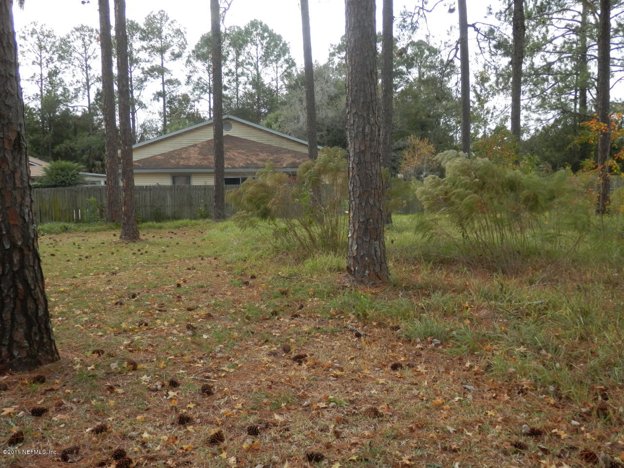 3972 Dowling Road Middleburg, FL 32068 - Photo 23 of 27 Back yard