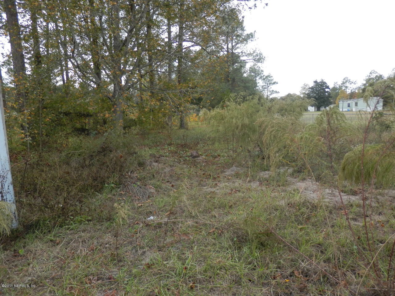 3972 Dowling Road Middleburg, FL 32068 - Photo 24 of 27 Back Yard
