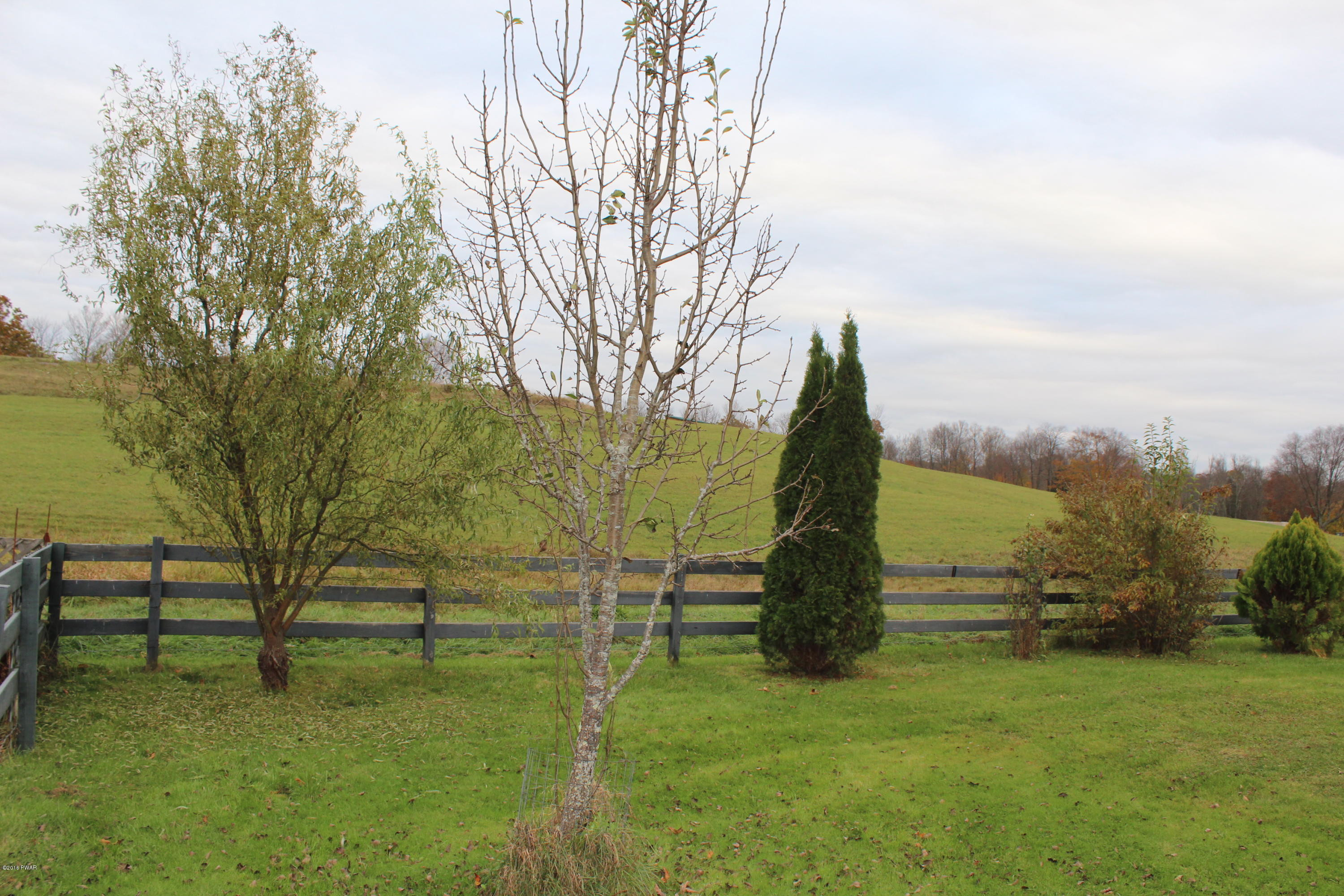 146 Swendsen Road Damascus, PA 18415 - Photo 23 of 24 Property View