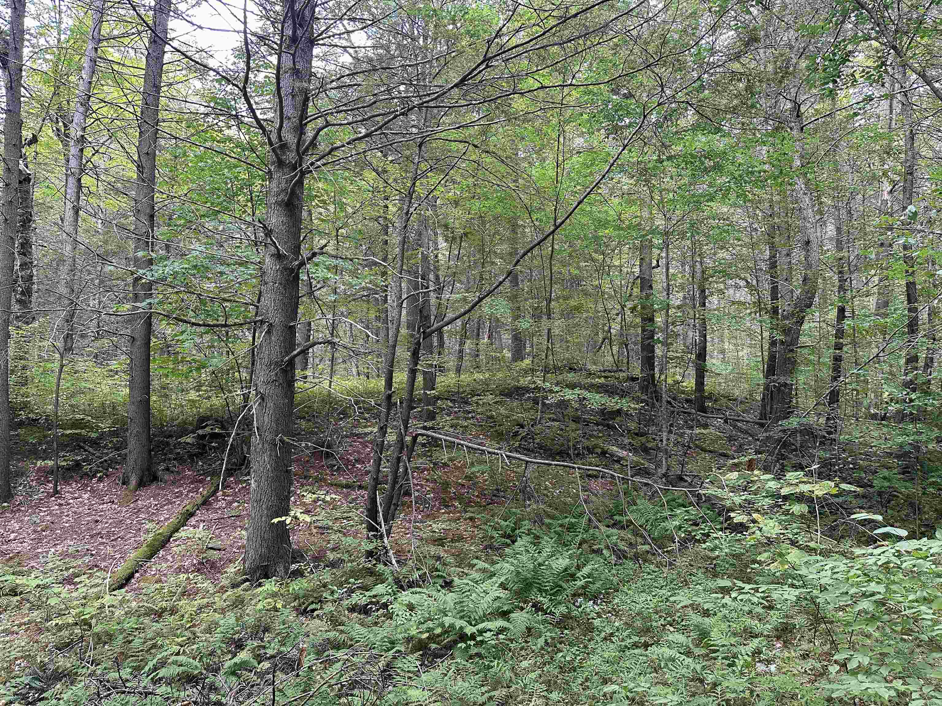 81 Parish Hill Road Newfane, VT 05351 - Photo 32 of 59