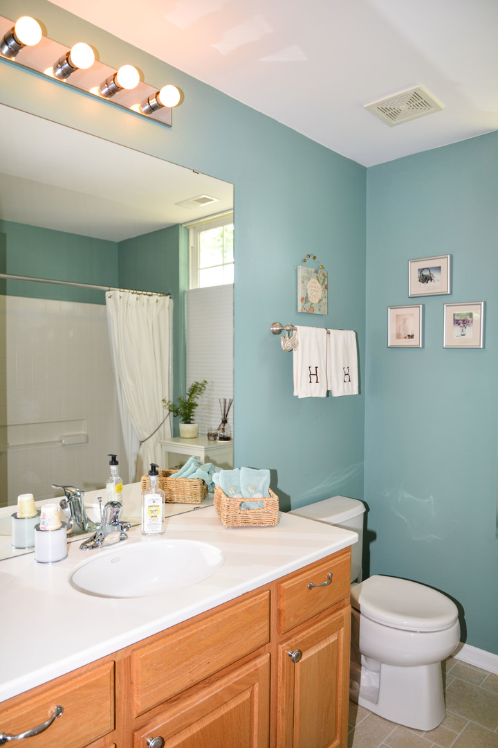 13482 Delaney Road Huntley, IL 60142 - Photo 15 of 18 a bathroom with a sink vanity mirror and toilet