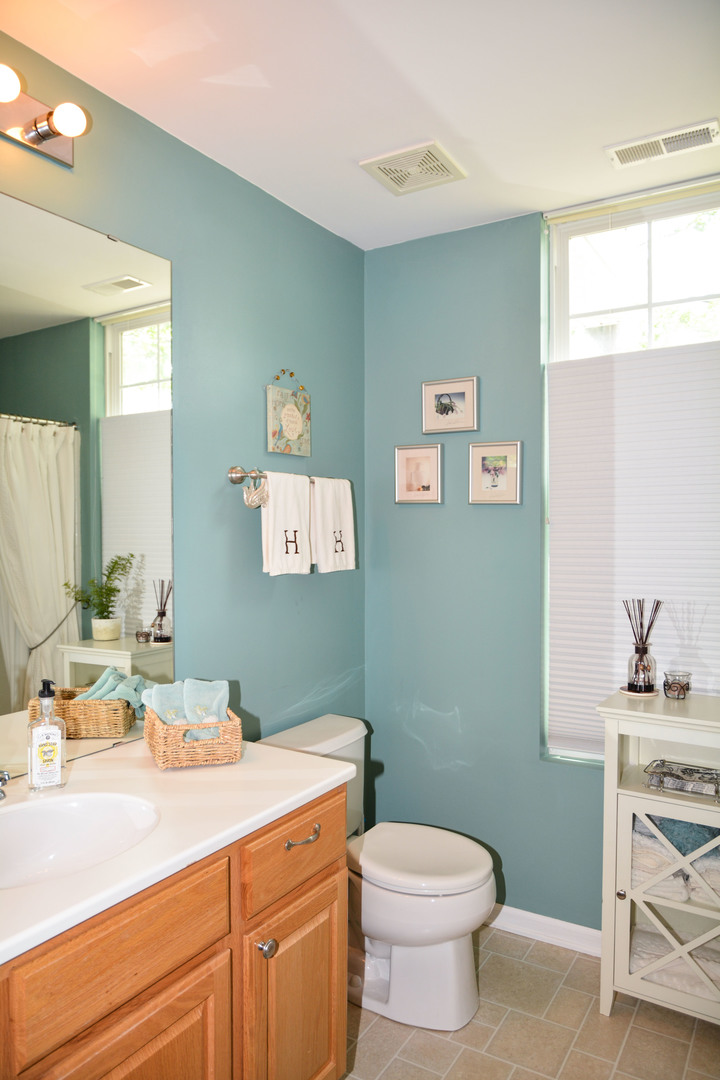 13482 Delaney Road Huntley, IL 60142 - Photo 16 of 18 a bathroom with a sink a toilet and a mirror