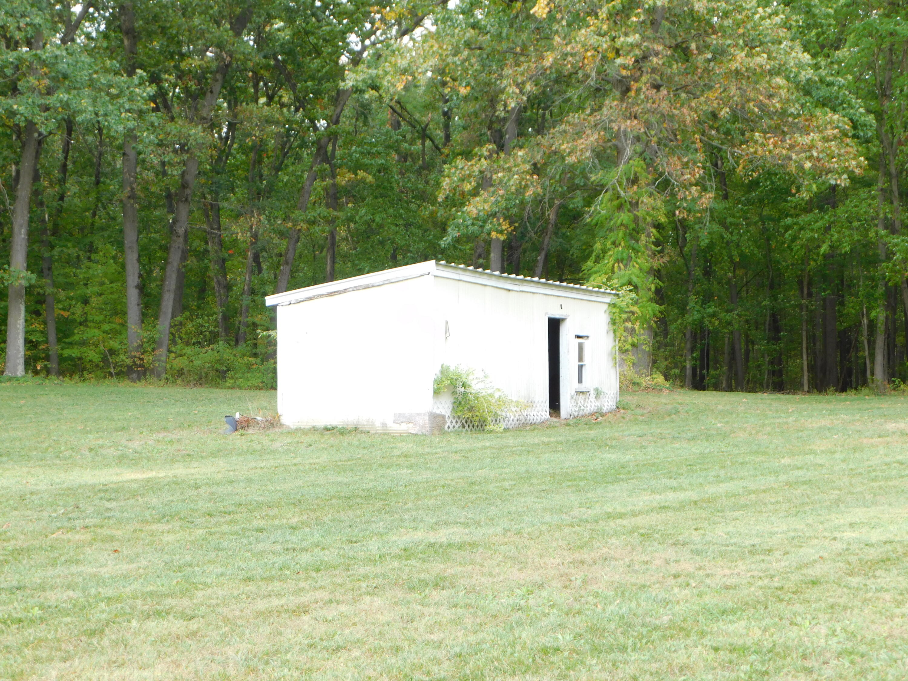 41004 80th Avenue Decatur, MI 49045 - Photo 16 of 17 storage shed
