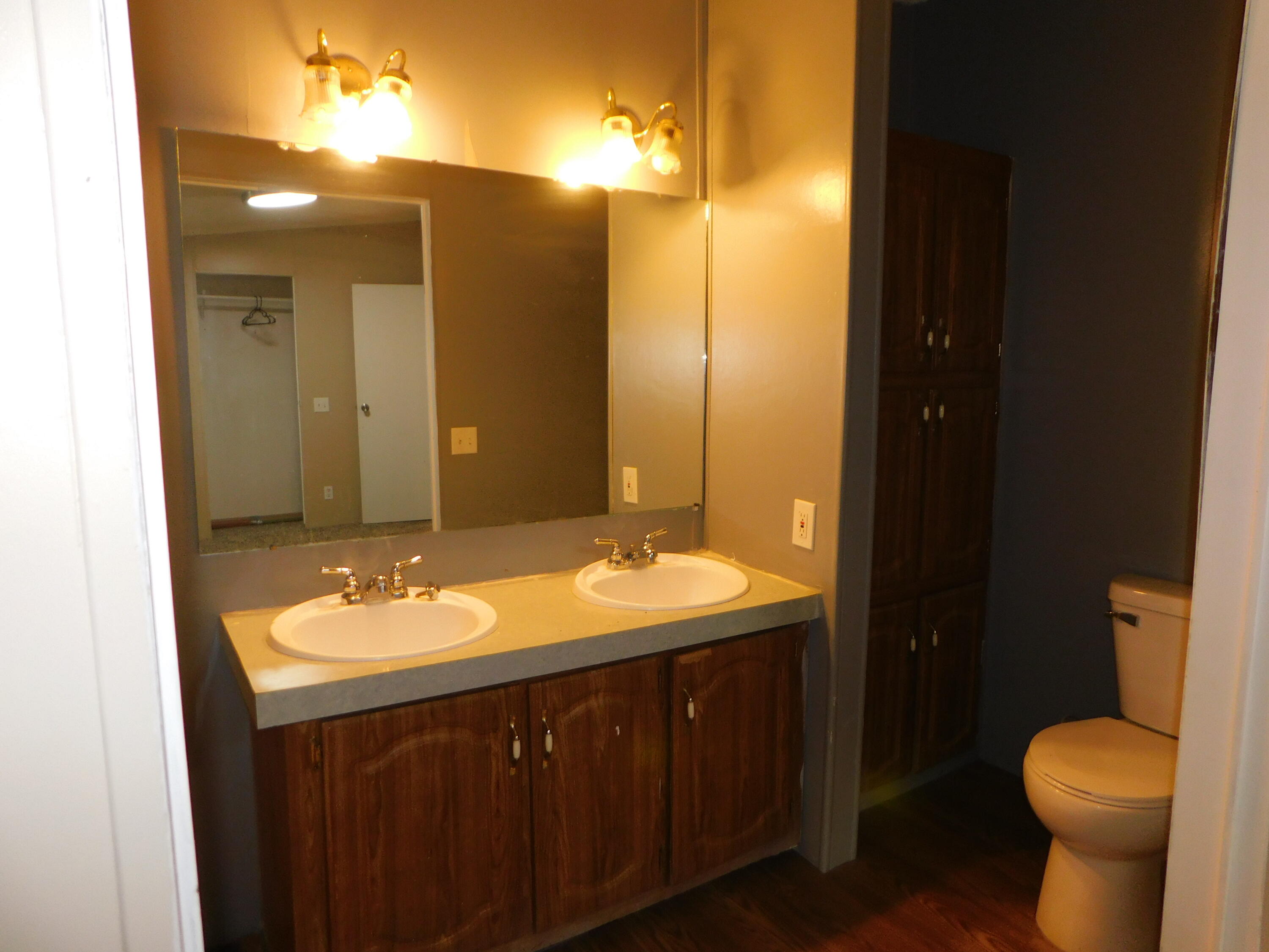 41004 80th Avenue Decatur, MI 49045 - Photo 9 of 17 primary bathroom