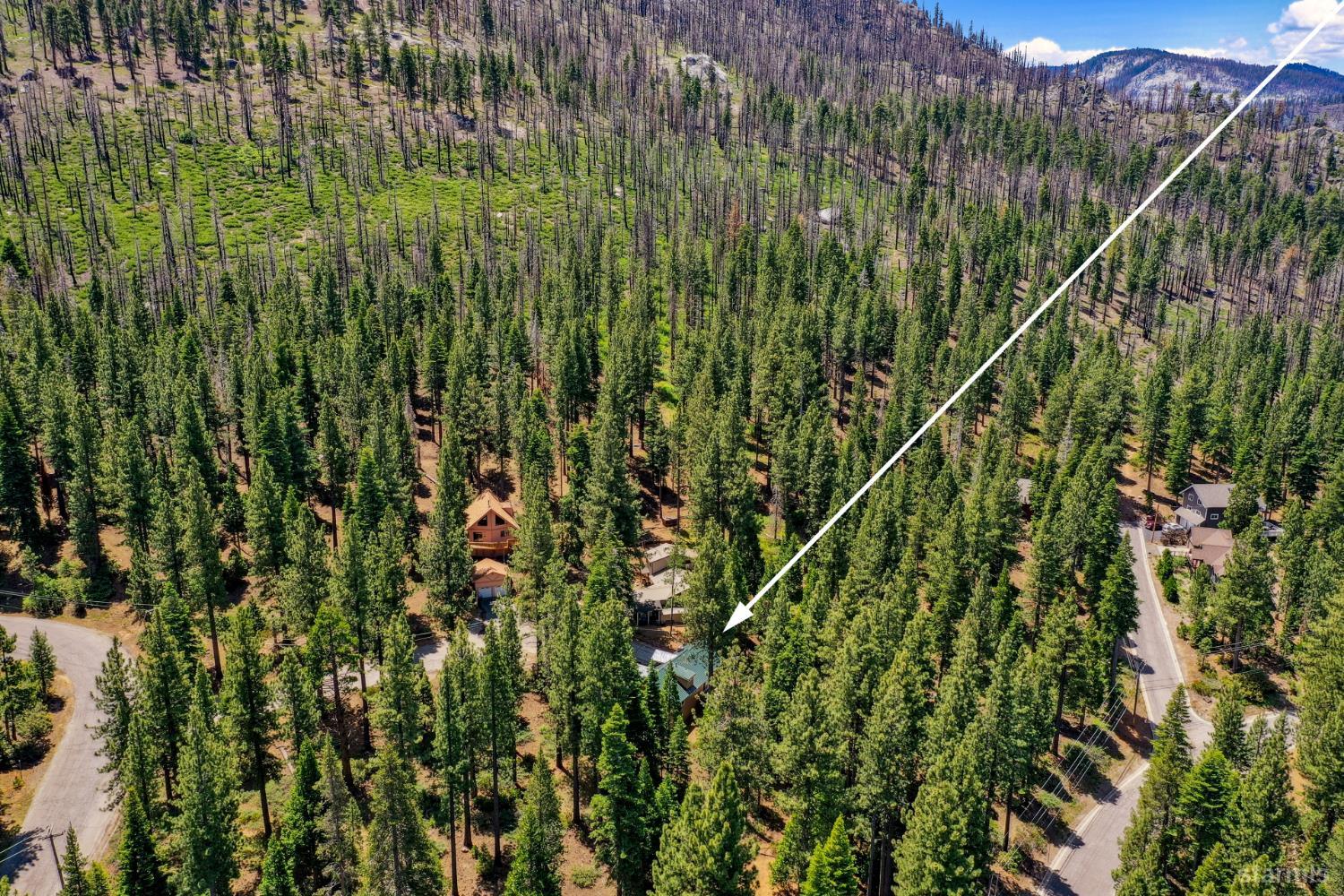 1730 Inca Way South Lake Tahoe, CA 96150 - Photo 27 of 32 a view of a city from a lush green forest