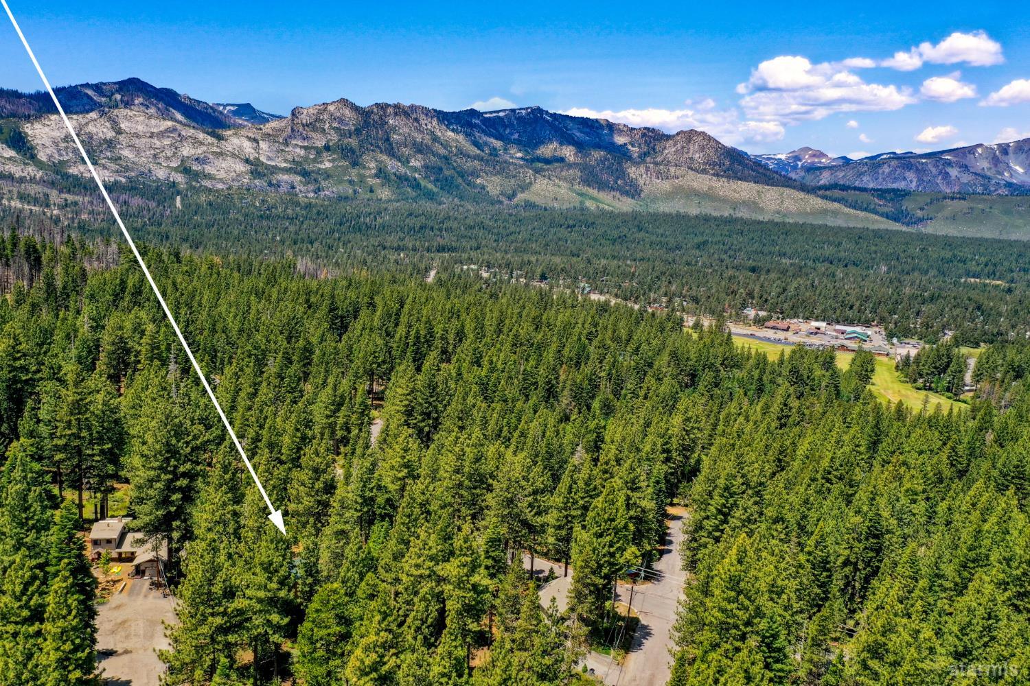 1730 Inca Way South Lake Tahoe, CA 96150 - Photo 28 of 32 a view of a yard with a garden