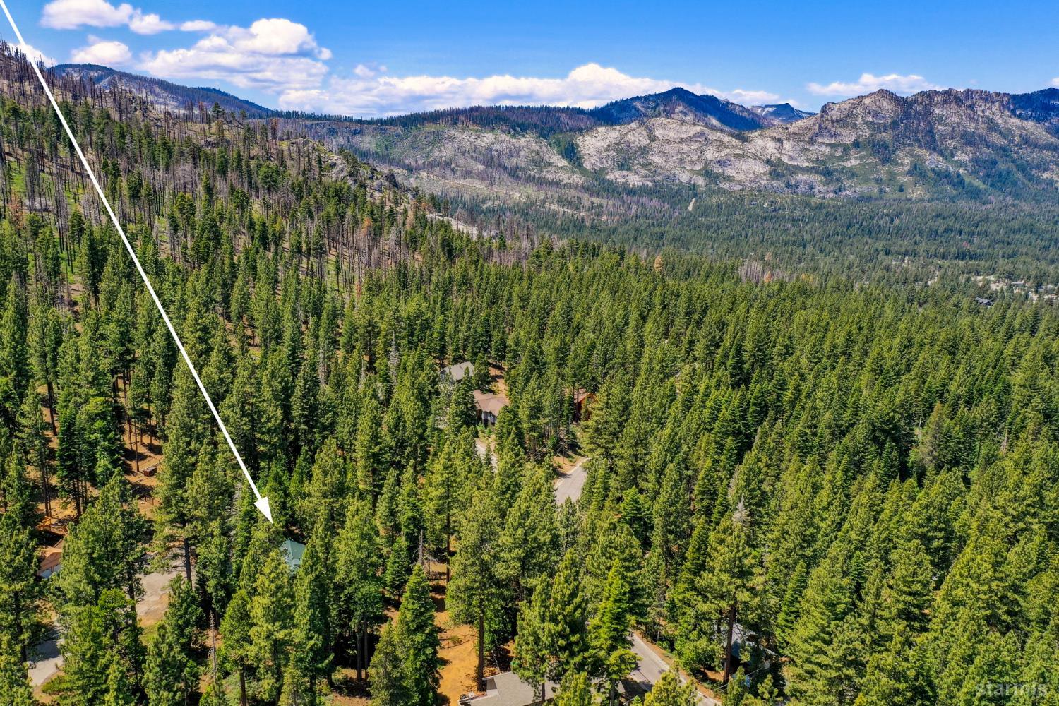 1730 Inca Way South Lake Tahoe, CA 96150 - Photo 30 of 32 a view of a lush green forest with mountains in the background