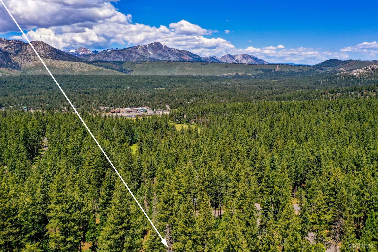 1730 Inca Way South Lake Tahoe, CA 96150 - Photo 32 of 32 a view of a lush green field with an ocean