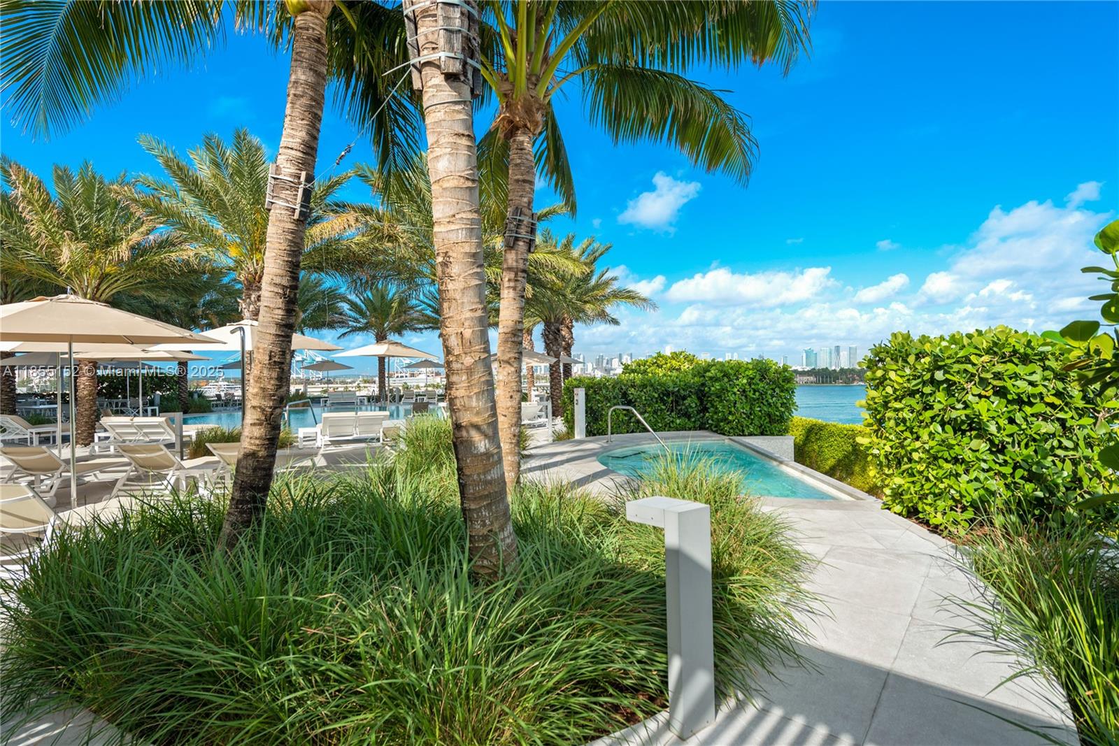 450 Alton Road, Unit 1907 Miami Beach, FL 33139 - Photo 61 of 64 a view of a swimming pool with a garden