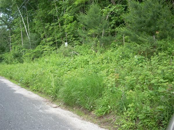 231 Hillside Road Southwick, MA 01077 - Photo 1 of 1 Gallery Image 1