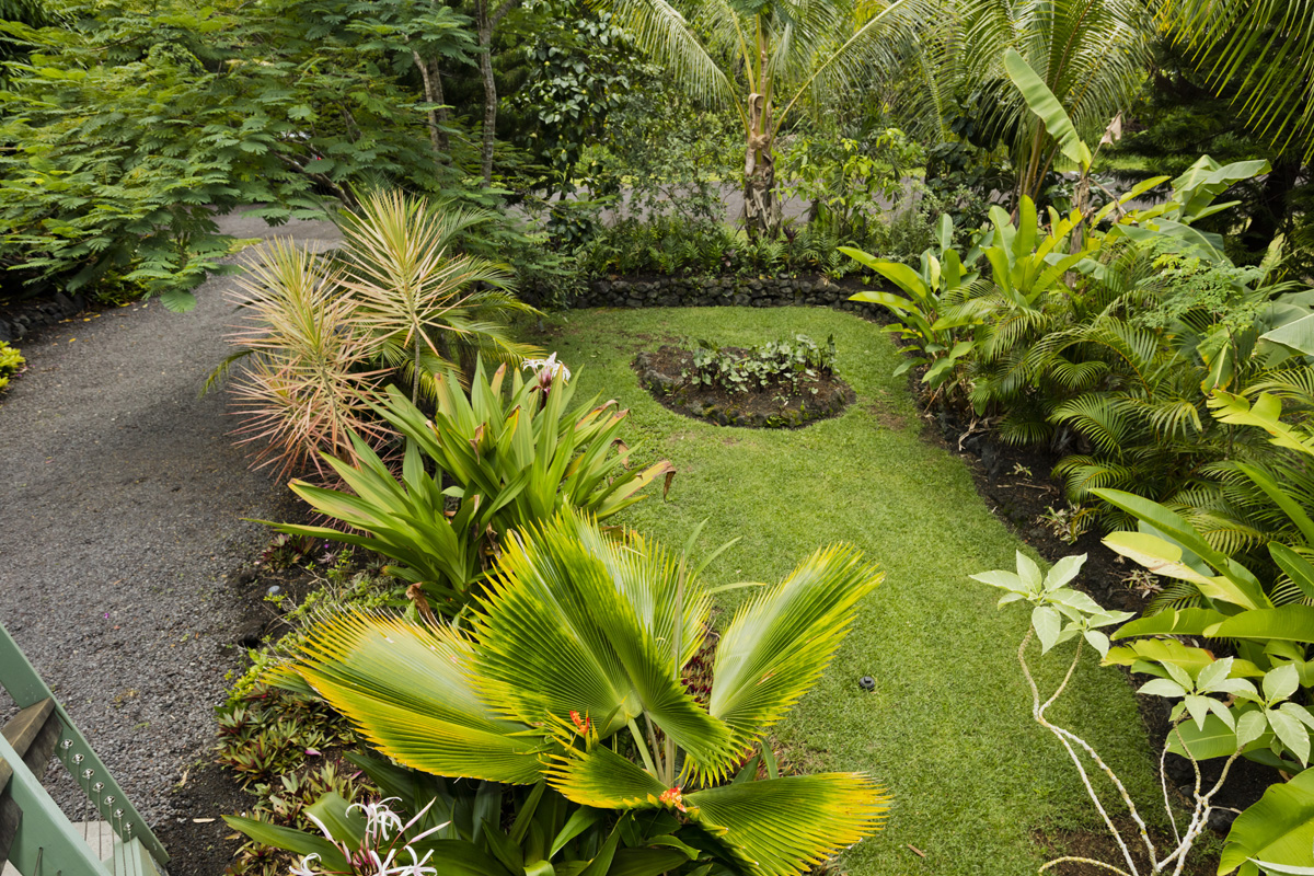 12-7002 Ho'Eunalu Street Pahoa, HI 96778 - Photo 11 of 26 a view of a garden in a yard