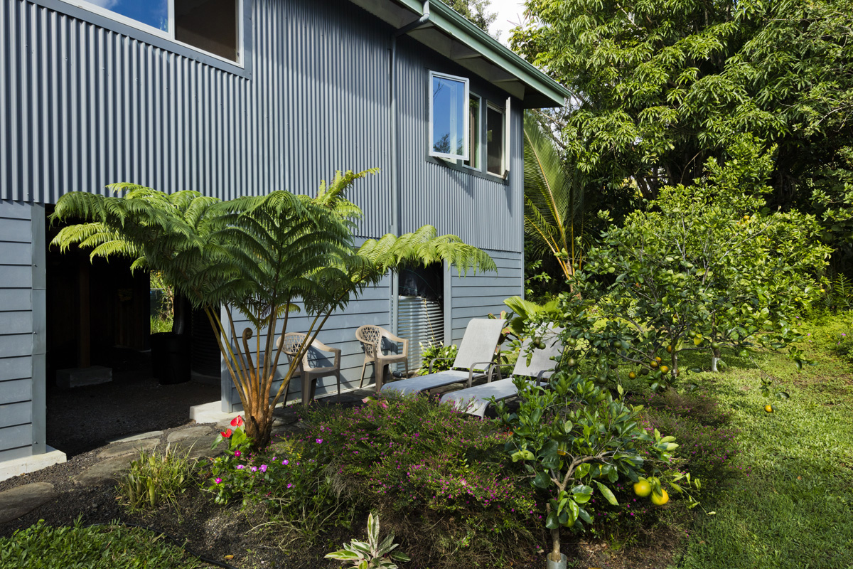 12-7002 Ho'Eunalu Street Pahoa, HI 96778 - Photo 9 of 26 a plant that is in front of a house