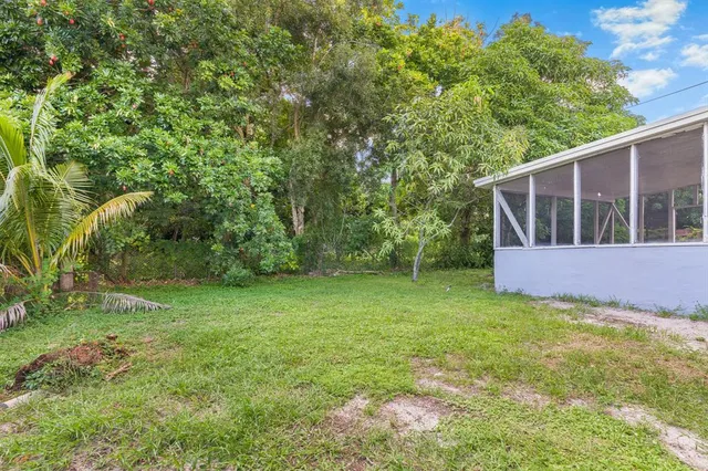 a view of a backyard with large trees