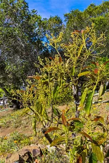 $1,769,000 | 957 Skyline Drive, San Luis Obispo, CA 93405