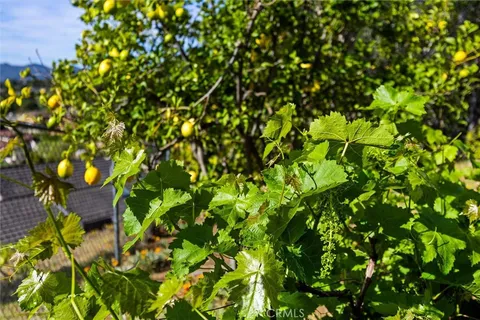 $1,769,000 | 957 Skyline Drive, San Luis Obispo, CA 93405