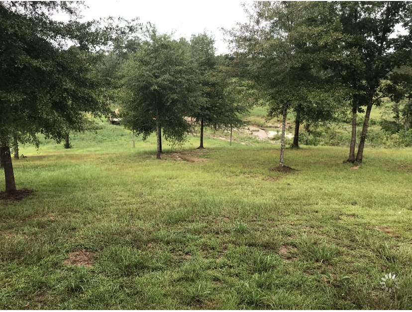 0 Highway 18 Highway Raleigh, MS 39153 - Photo 2 of 39 Photo 2