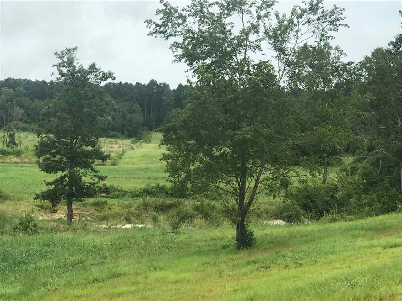 0 Highway 18 Highway Raleigh, MS 39153 - Photo 26 of 39 Photo 26
