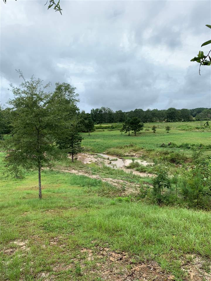 0 Highway 18 Highway Raleigh, MS 39153 - Photo 27 of 39 Photo 27