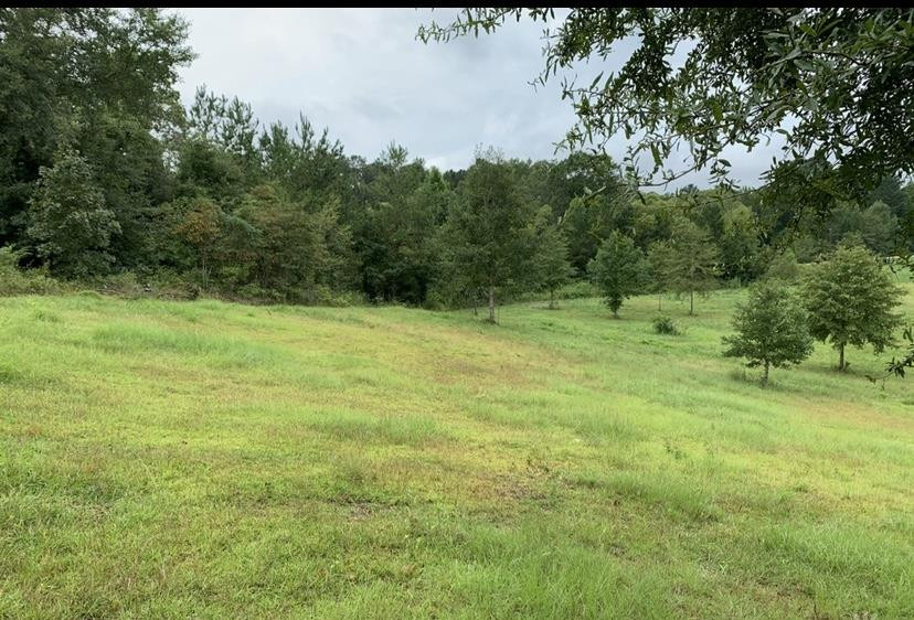 0 Highway 18 Highway Raleigh, MS 39153 - Photo 3 of 39 Photo 3