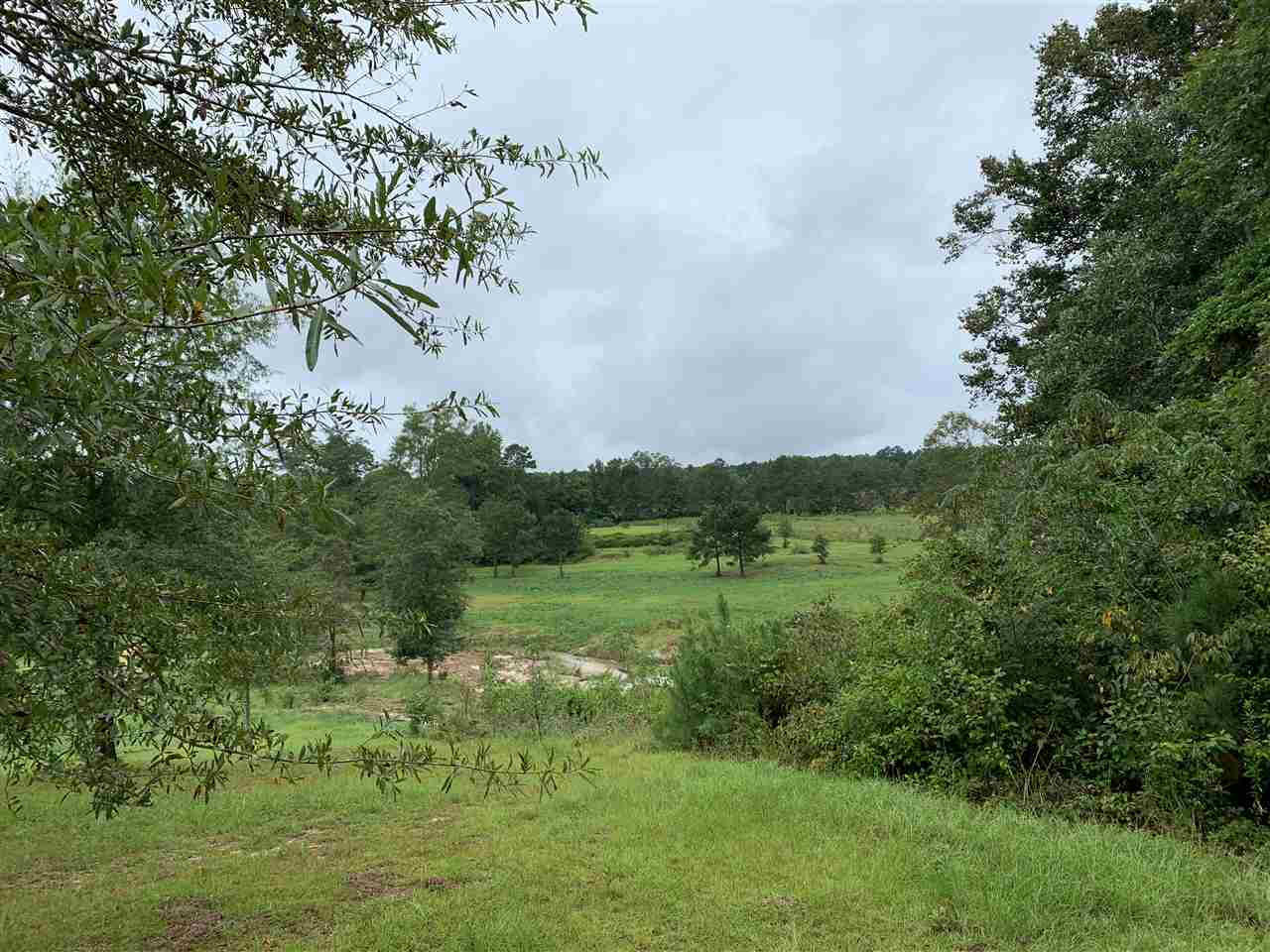 0 Highway 18 Highway Raleigh, MS 39153 - Photo 5 of 39 Creek bed