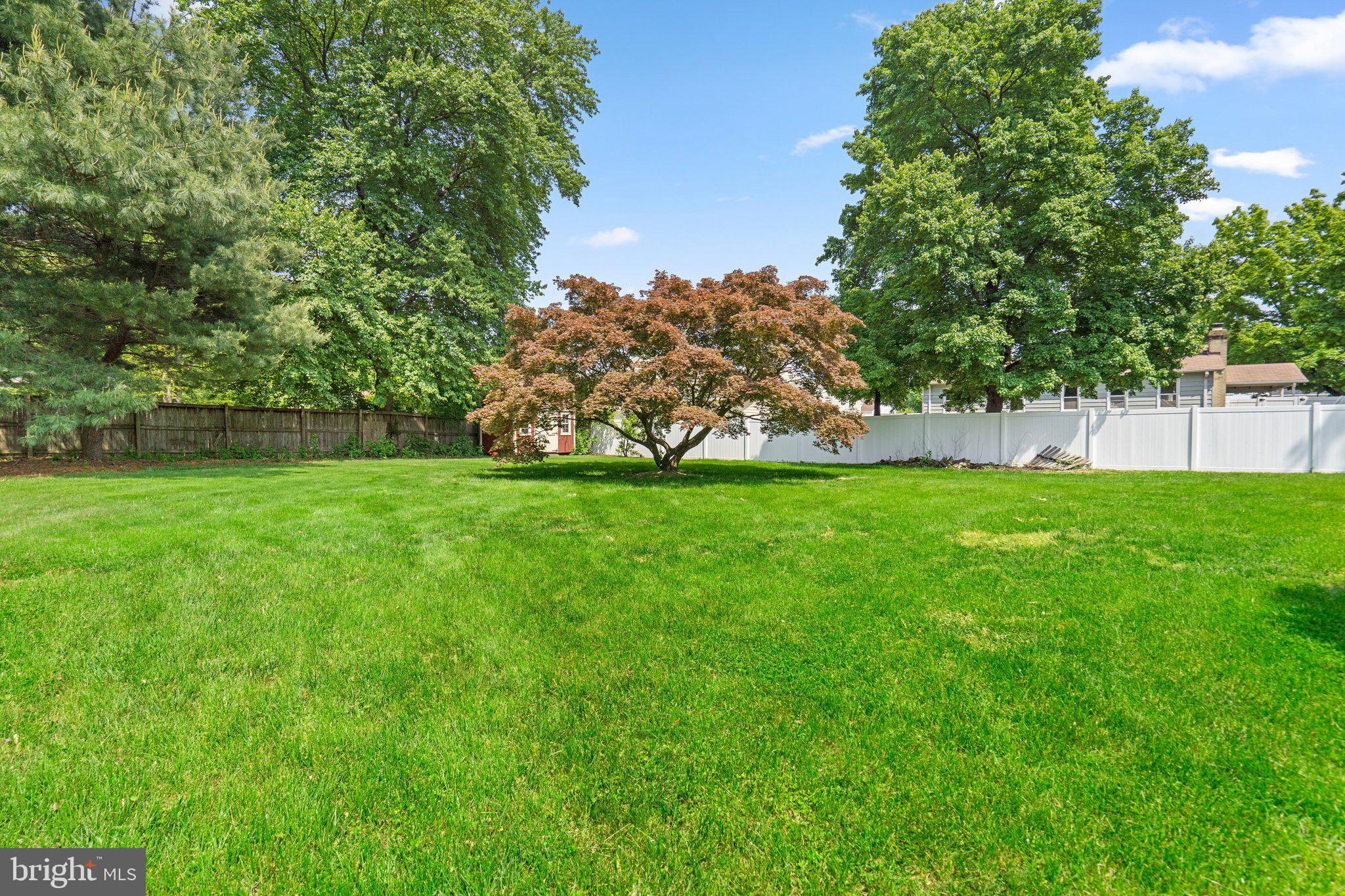 4302 Powder Mill Road Beltsville, MD 20705 - Photo 27 of 30 Rear Yard
