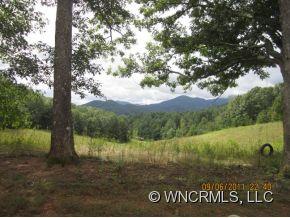 88 Sandy River Road Leicester, NC 28748 - Photo 2 of 12 Gallery Image 2