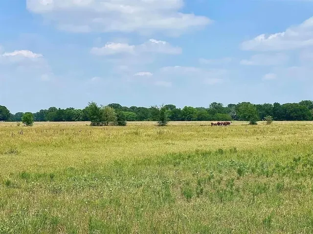 $980,000 | 12053 South 34th Highway, Scurry, TX 75158