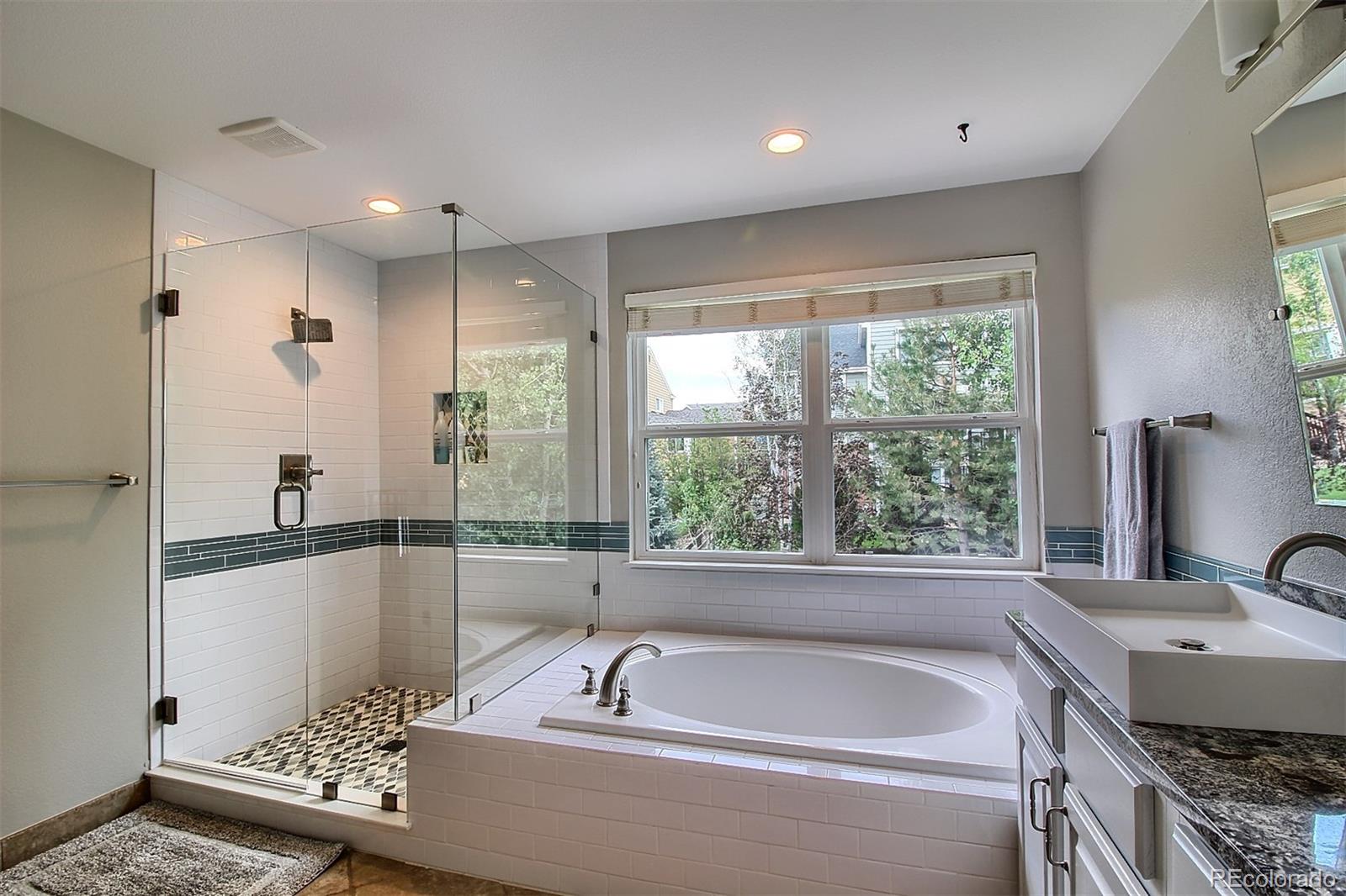 867 Countrybriar Lane Highlands Ranch, CO 80129 - Photo 18 of 33 Gallery Image 18