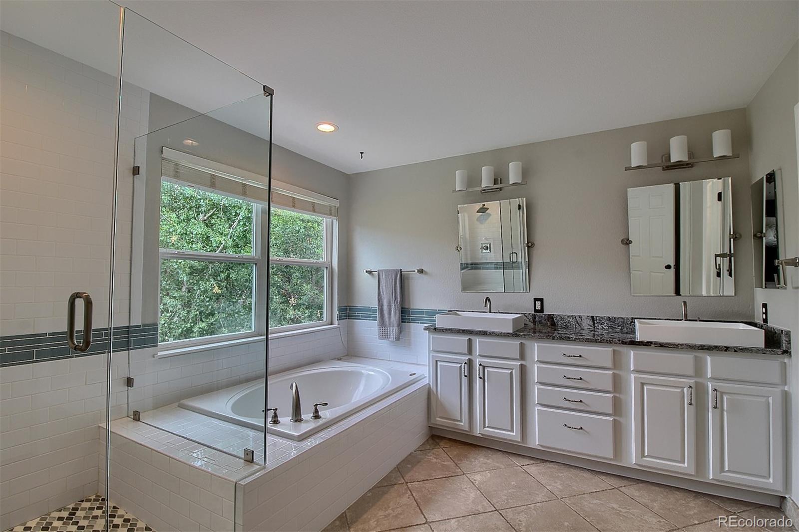 867 Countrybriar Lane Highlands Ranch, CO 80129 - Photo 19 of 33 Gallery Image 19