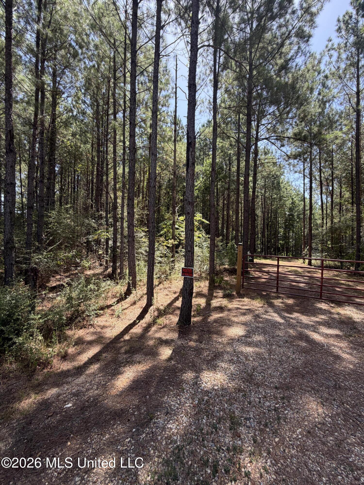 111 Progress Trail Sumrall, MS 39482 - Photo 4 of 9 IMG_6557