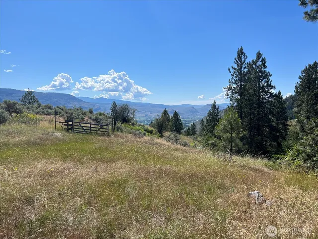 a view of a town with mountains in the background