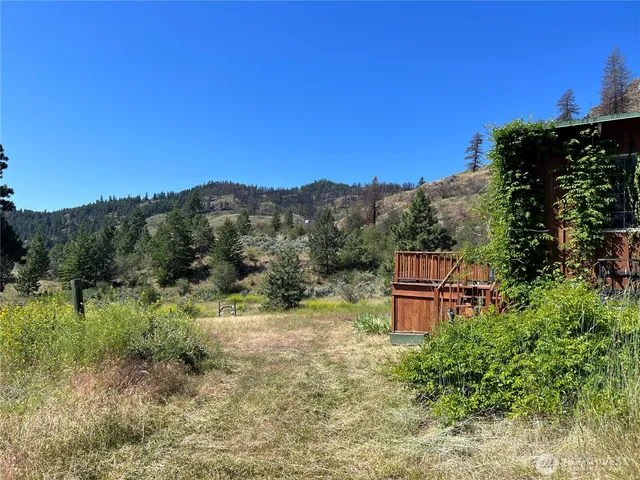 a view of a forest with a house in the background