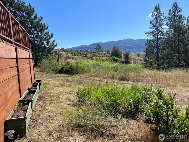 a view of a back yard