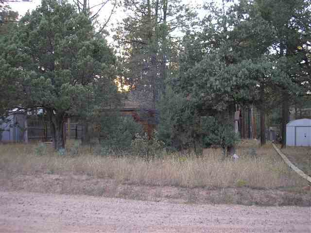 2884 Center Road Overgaard, AZ 85933 - Photo 2 of 5 Gallery Image 2
