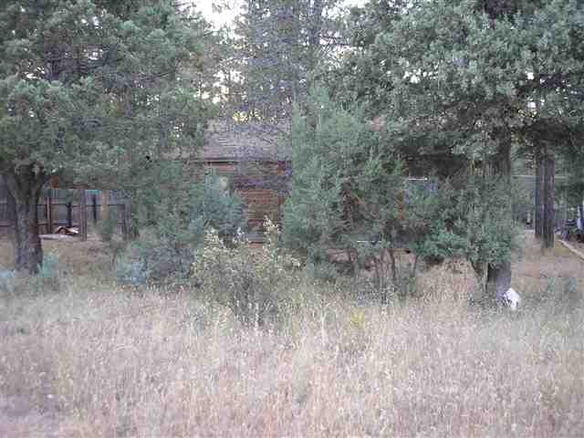 2884 Center Road Overgaard, AZ 85933 - Photo 5 of 5 Gallery Image 5
