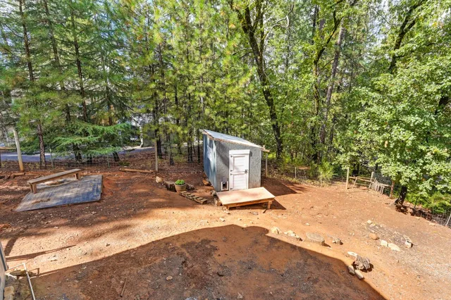 a view of backyard with large trees and wooden fence