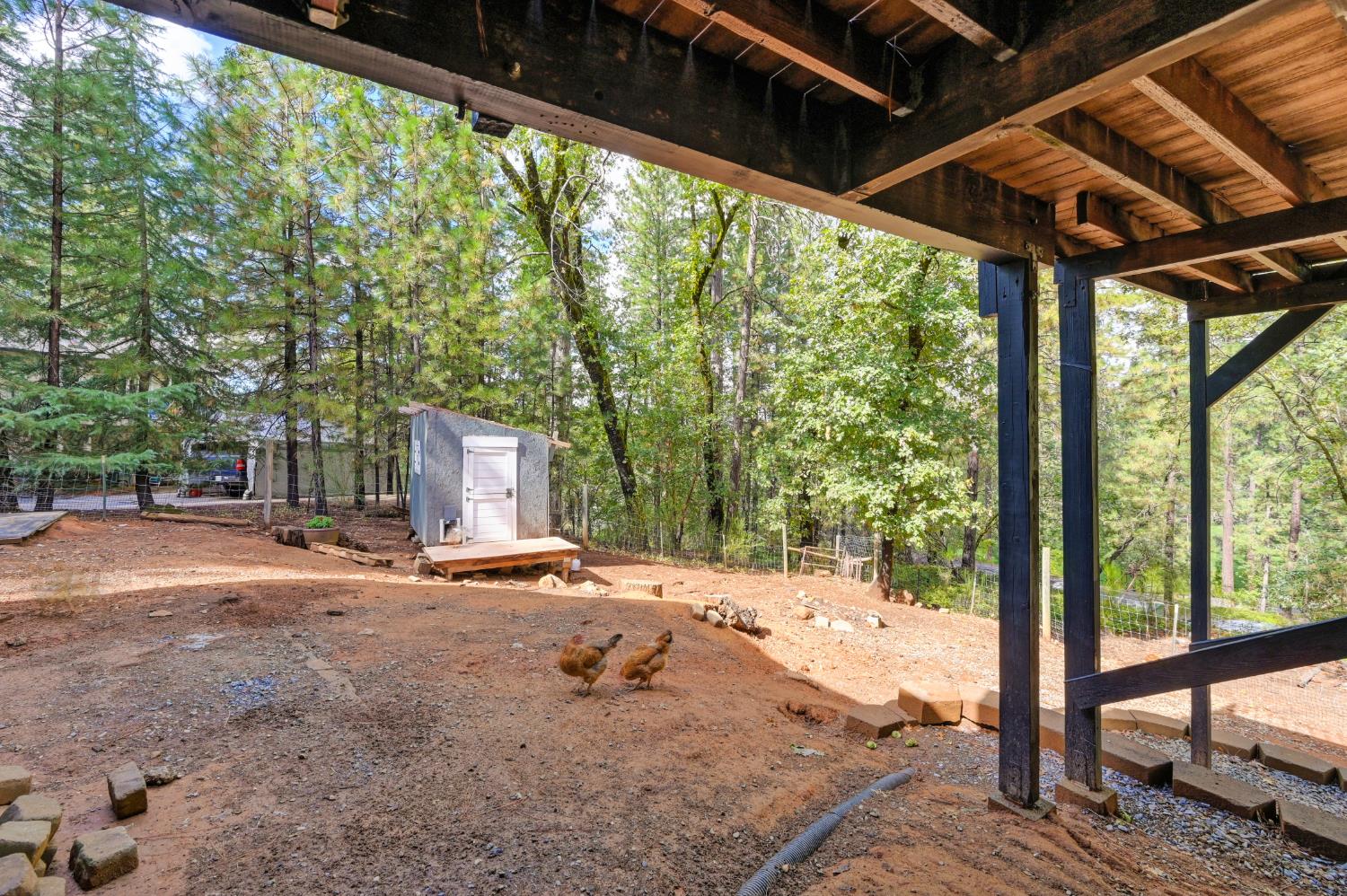 950 Pine Hill Road Colfax, CA 95713 - Photo 49 of 58