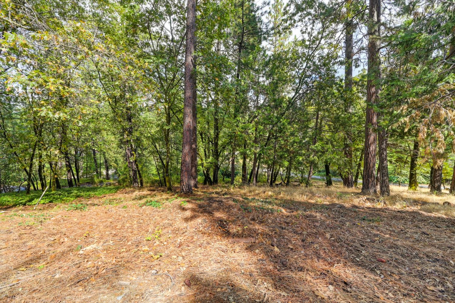 950 Pine Hill Road Colfax, CA 95713 - Photo 54 of 58